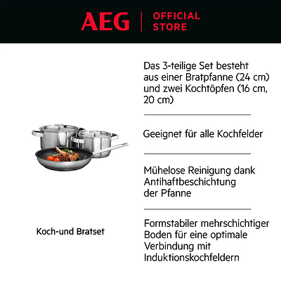 AEG A3SS (1)