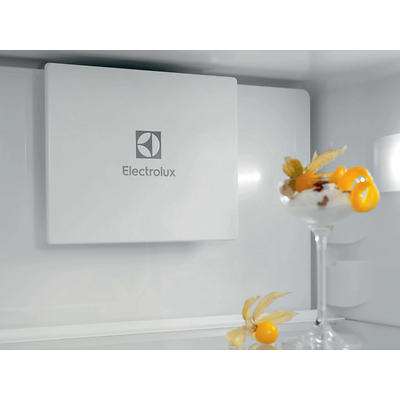 Electrolux ENT6ME19S (4)