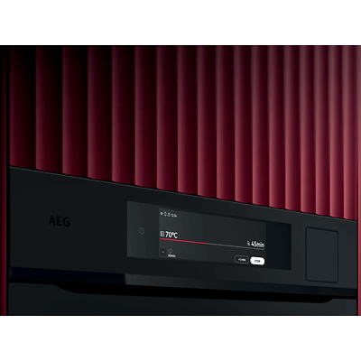 AEG BS9900T (3)