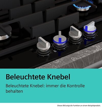 Siemens ER6A6PH40 (12)