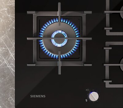 Siemens EC6A5HI90 (6)