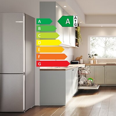Bosch KGN492IAF (2)